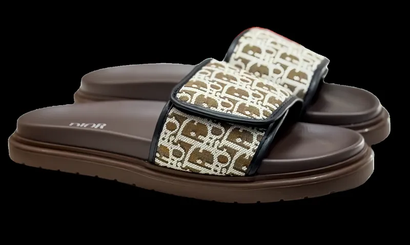 Dior Slides 11+ colorways [Premium Quality]
