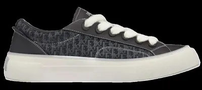 Dior B33