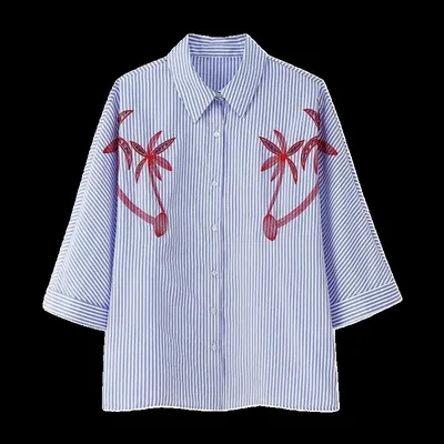 Zara Shirt