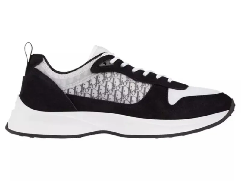 Dior B25