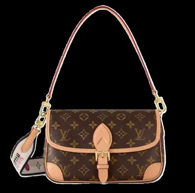 Louis Vuitton Bag