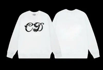 Dior Hoodie 34+ colorways [Premium Quality]
