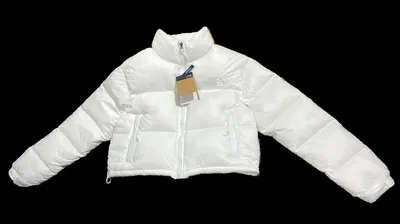 The North Face Down Jacket 5+ colorways [Premium Quality]